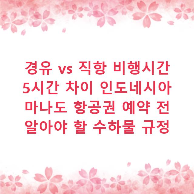 경유 vs 직항 비행시간 5시간 차이 인도네시아 마나도 항공권 예약 전 알아야 할 수하물 규정