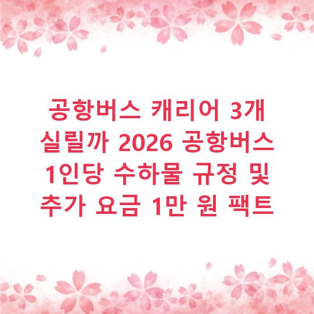 공항버스 캐리어 3개 실릴까 2026 공항버스 1인당 수하물 규정 및 추가 요금 1만 원 팩트