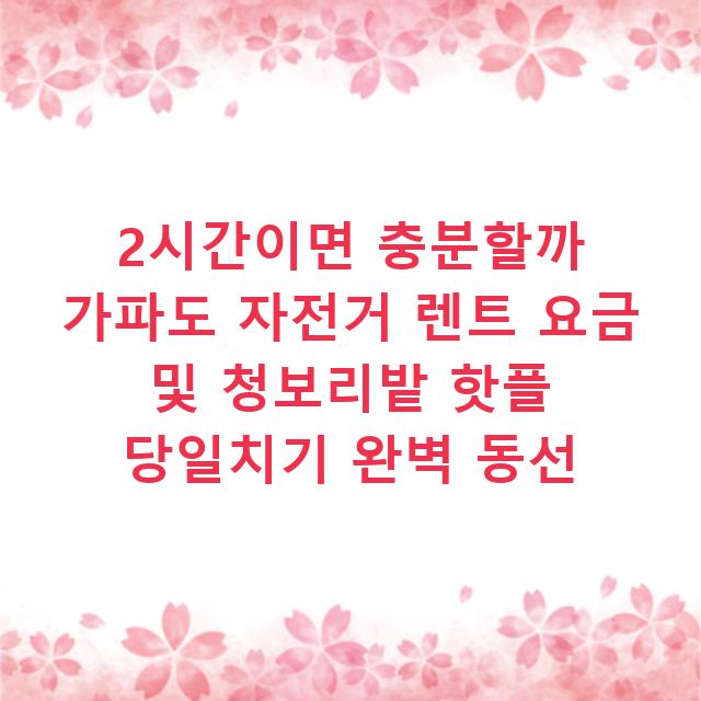 2시간이면 충분할까 가파도 자전거 렌트 요금 및 청보리밭 핫플 당일치기 완벽 동선