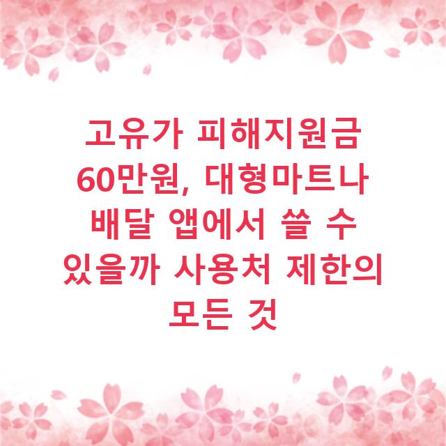 고유가 피해지원금 60만원, 대형마트나 배달 앱에서 쓸 수 있을까 사용처 제한의 모든 것